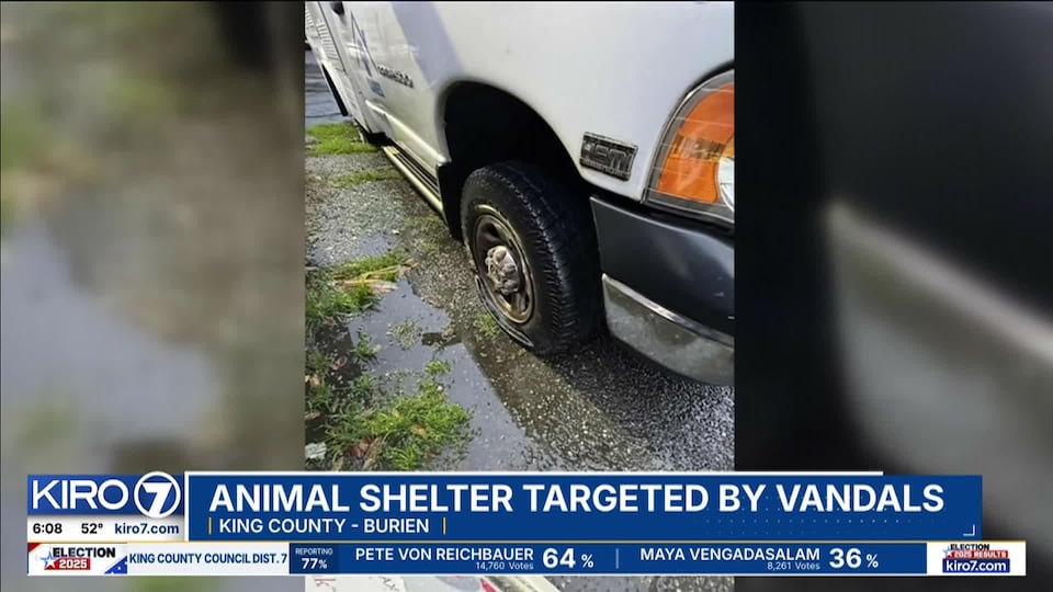 VIDEO: Animal shelter targeted by vandals