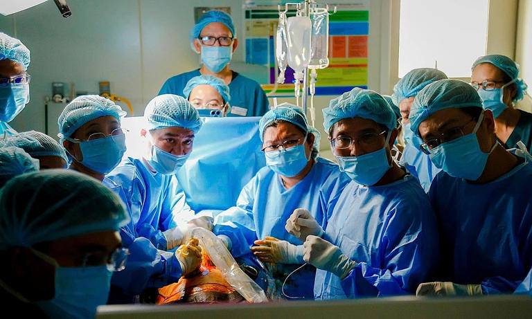 Singaporean woman gives birth to healthy baby after groundbreaking ...