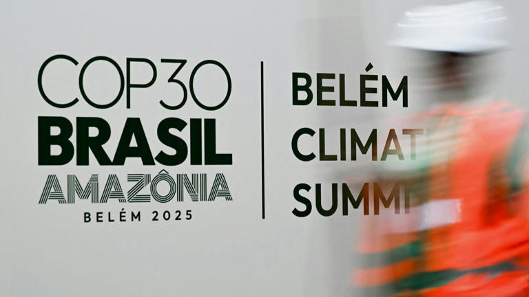 Belém, Bäume, Billionen – Klimagipfel COP30 vor Start
