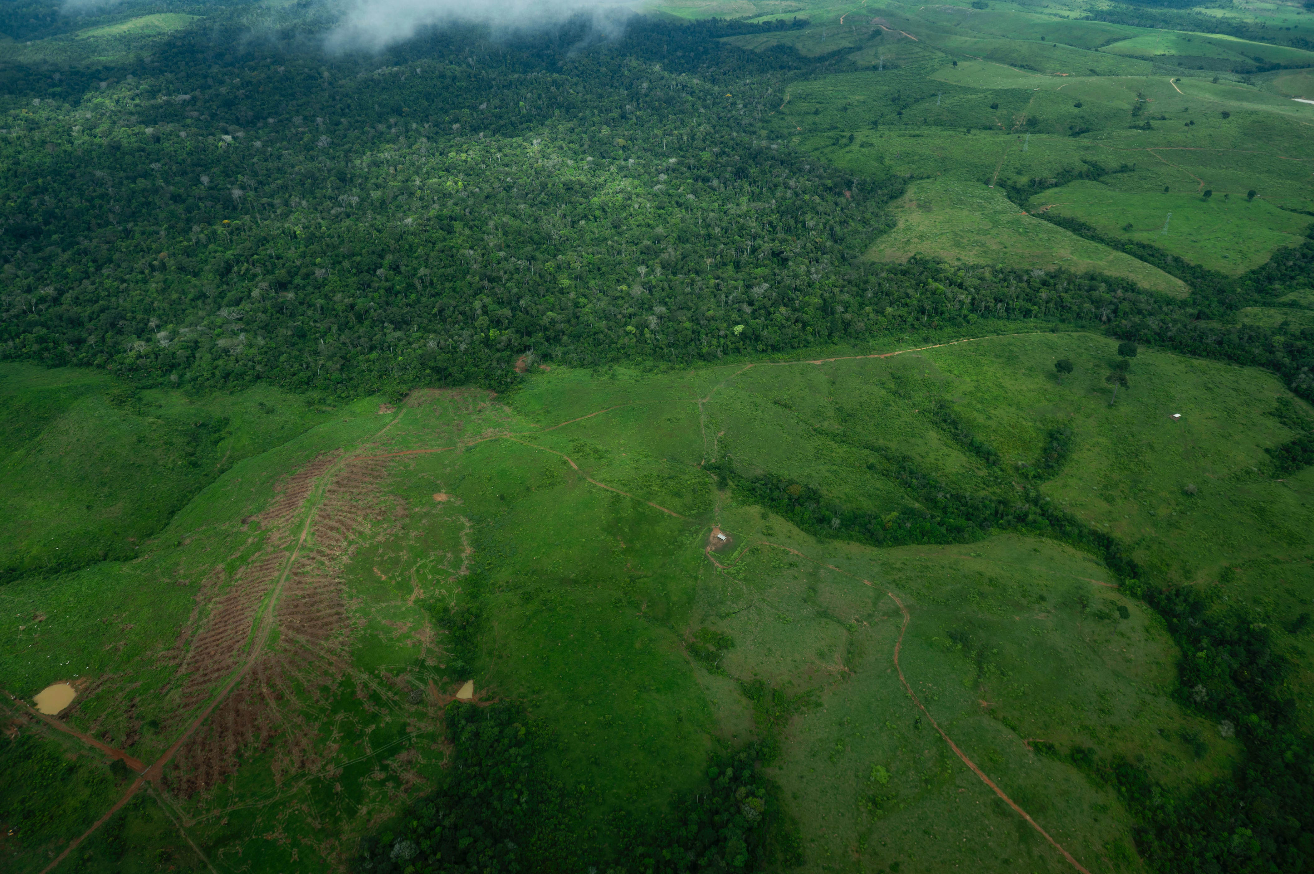 From California to the Amazon—Local Leaders Are Changing the Climate ...