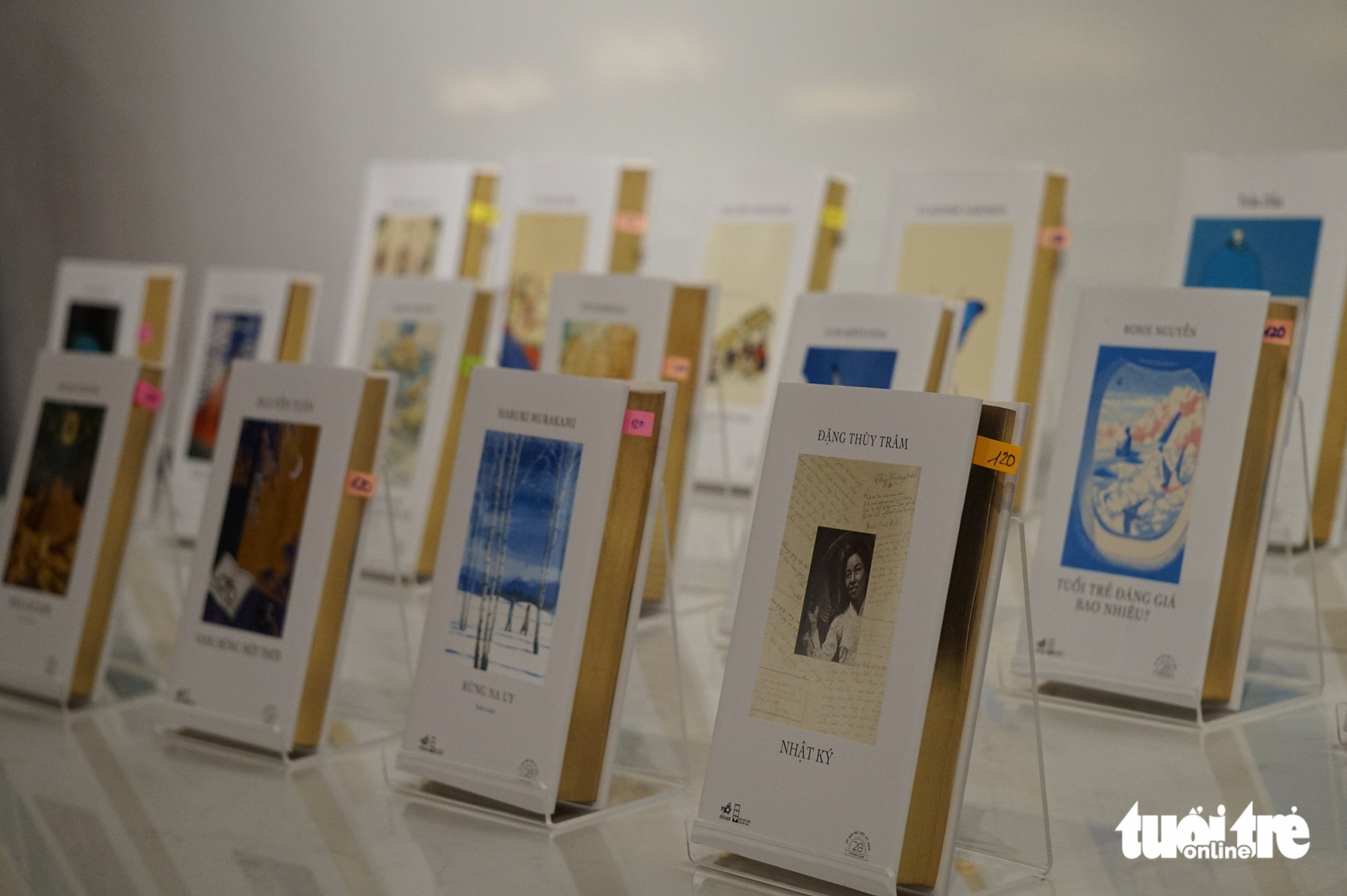 20 năm, Nhật ký Đặng Thùy Trâm vẫn là cuốn sách giữ kỷ lục xuất bản