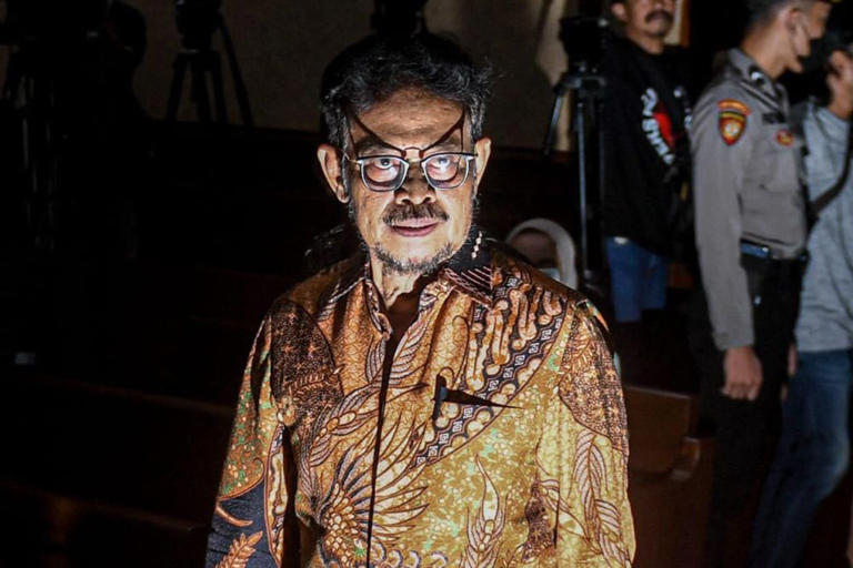 Syahrul Yasin Limpo (ANTARA/Muhammad Adimaja)