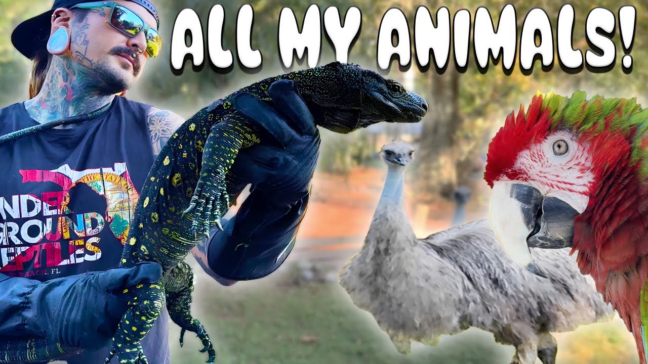 From Reptiles to Raptors: Tyler Nolan’s Full Ranch Animal Tour