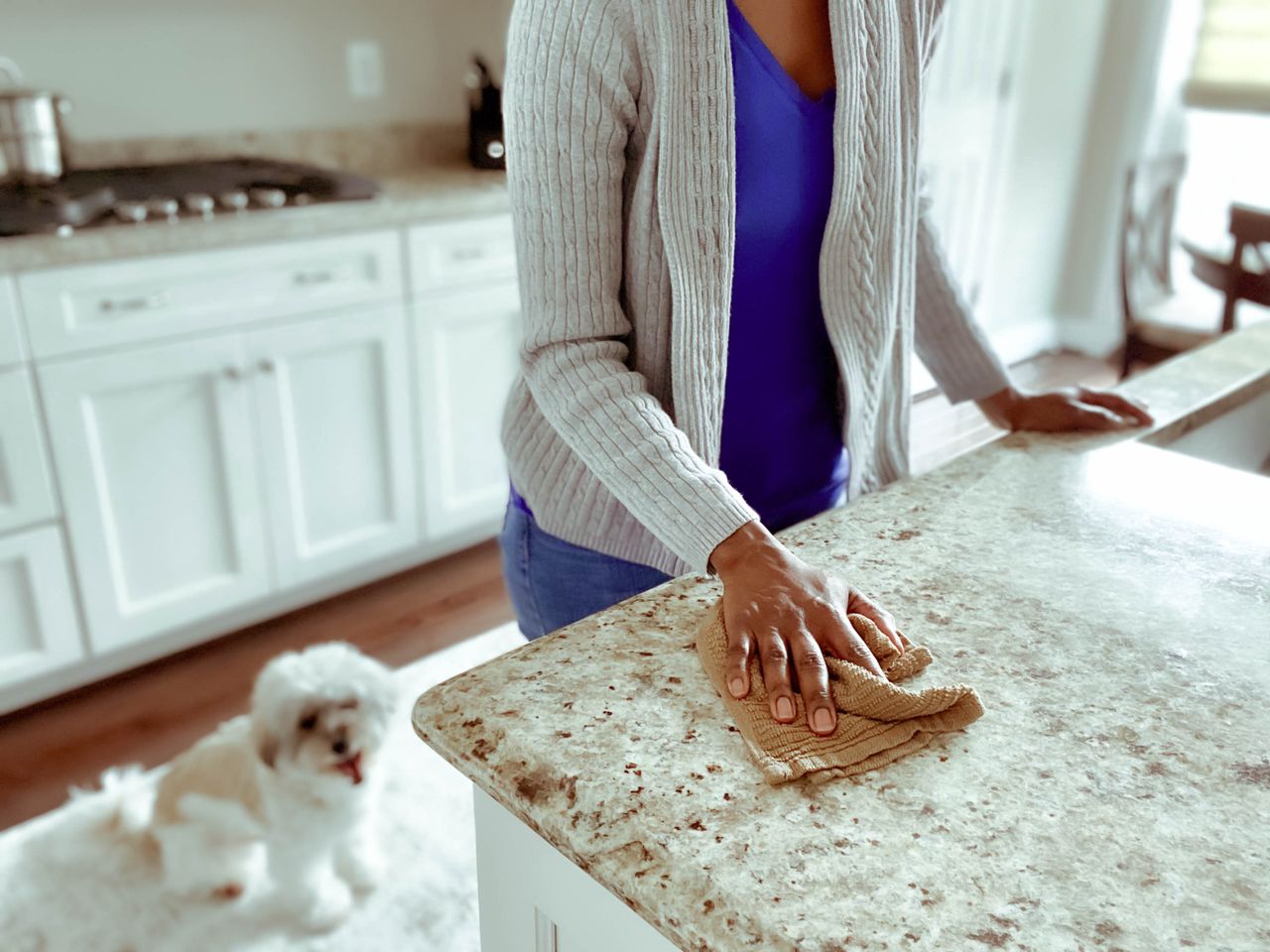 Woman Wiping Off Kitchen Counter