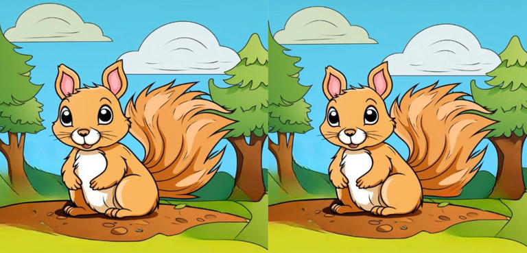 Spot 3 differences in this squirrel picture in just 23 seconds!