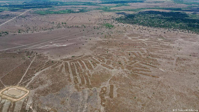 Campos de cultivo deixados por antiga civilizações indígenas que habitaram a Amazônia boliviana