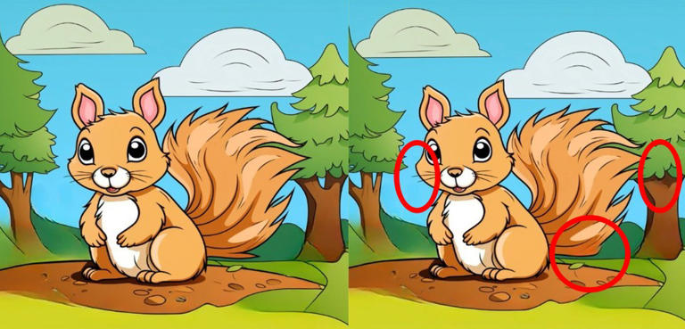 Spot 3 differences in this squirrel picture in just 23 seconds!