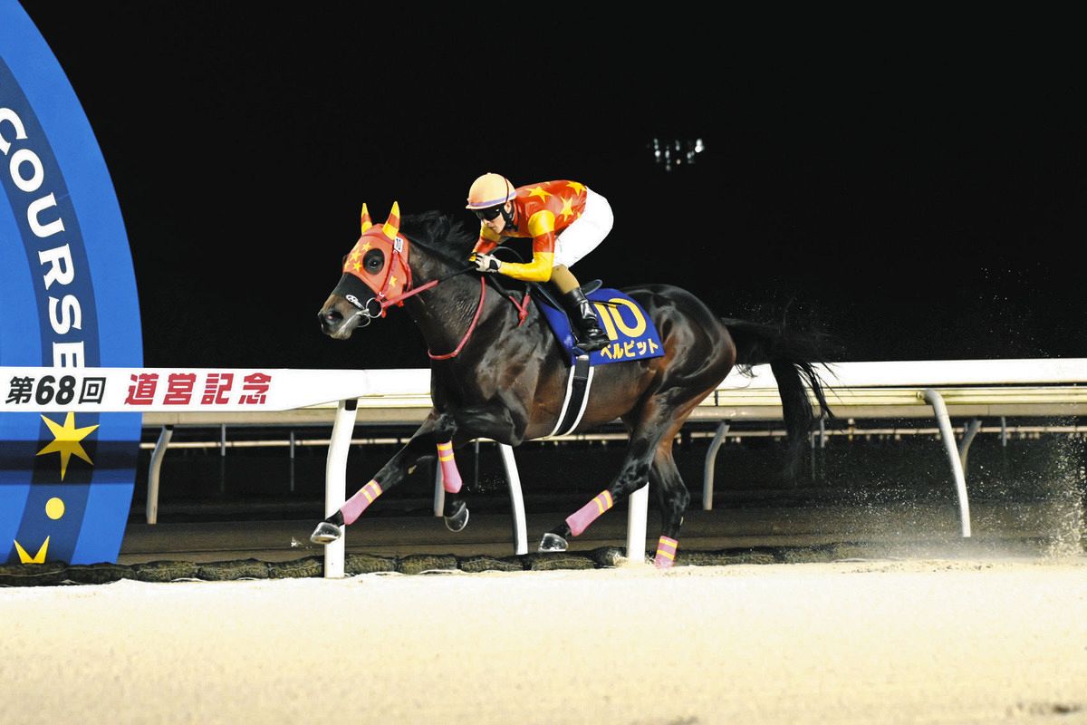 【門別・道営記念】ベルピットが道営新記録の重賞15勝目を挙げ断然人気に応える 桑村騎手「さらに記録を伸ばせるように」