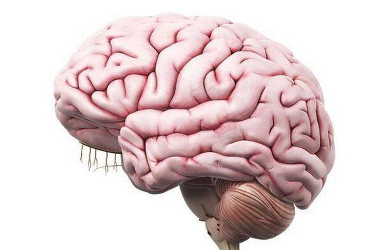 Neuroscientist reveals the one thing your brain needs to achieve success