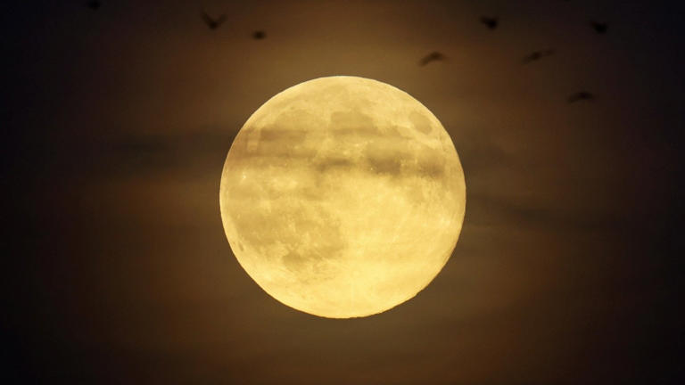 Supermoon secrets: Did the Moon really come close to Earth last night ...