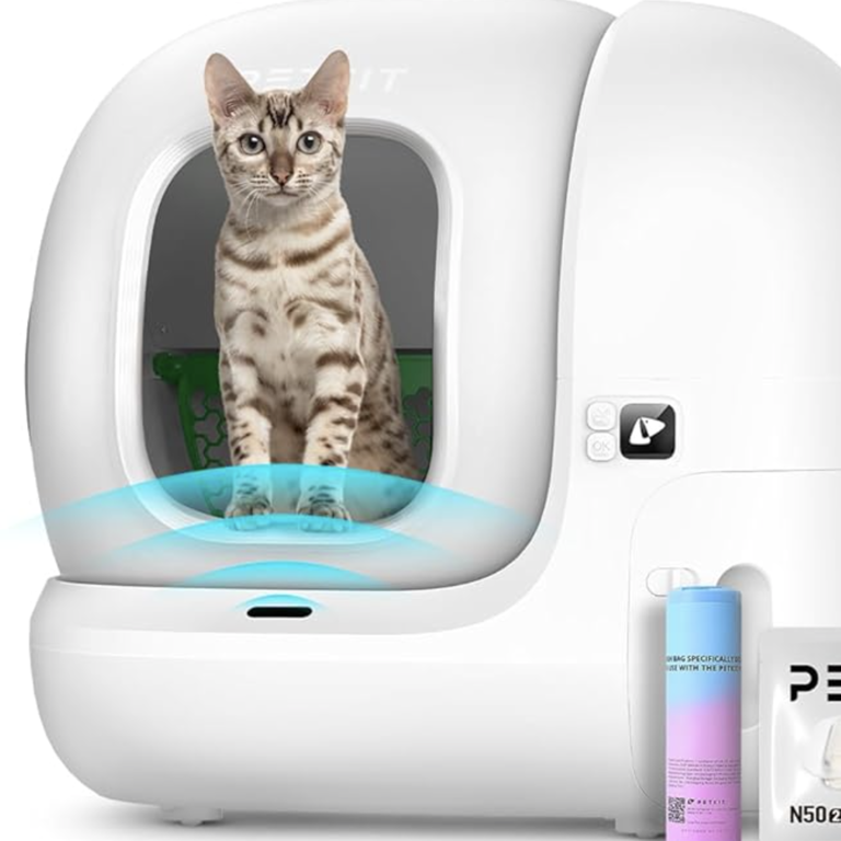 No cat flap? No problem! This game-changing gadget is the reason I'm ...