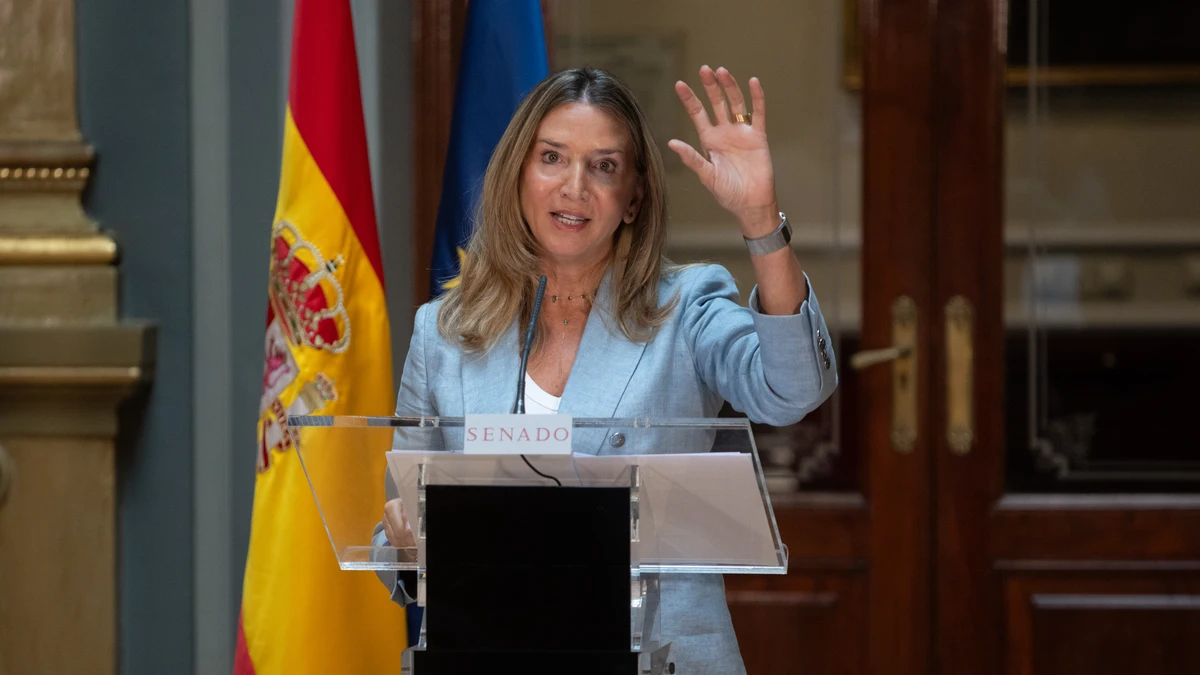 El PP cita otra vez a Torres en el Senado tras el informe de la UCO ...