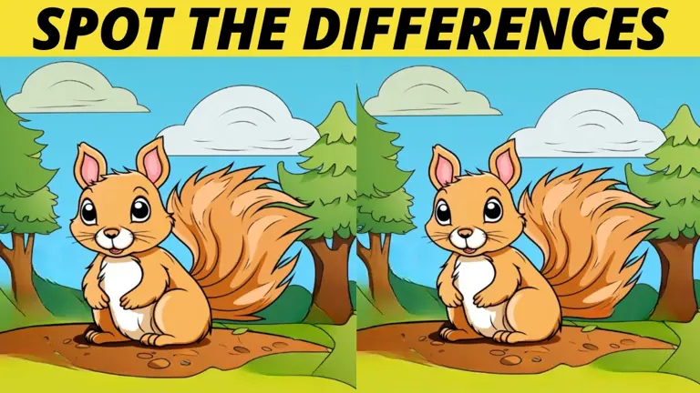 Spot 3 differences in this squirrel picture in just 23 seconds!