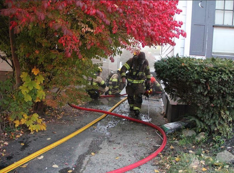 Several pets dead, firefighter injured after house fire in Springfield