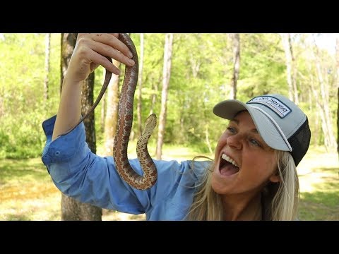 Fisherwoman requests snake catching for birthday and receives bite