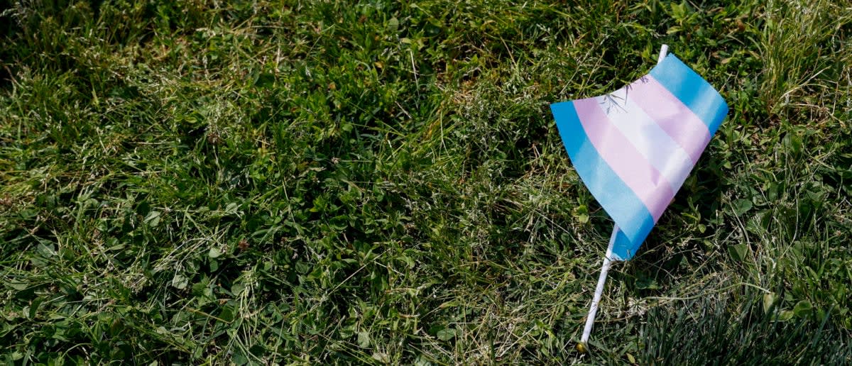 Pennsylvania Town Elects Its First Openly Transgender Mayor