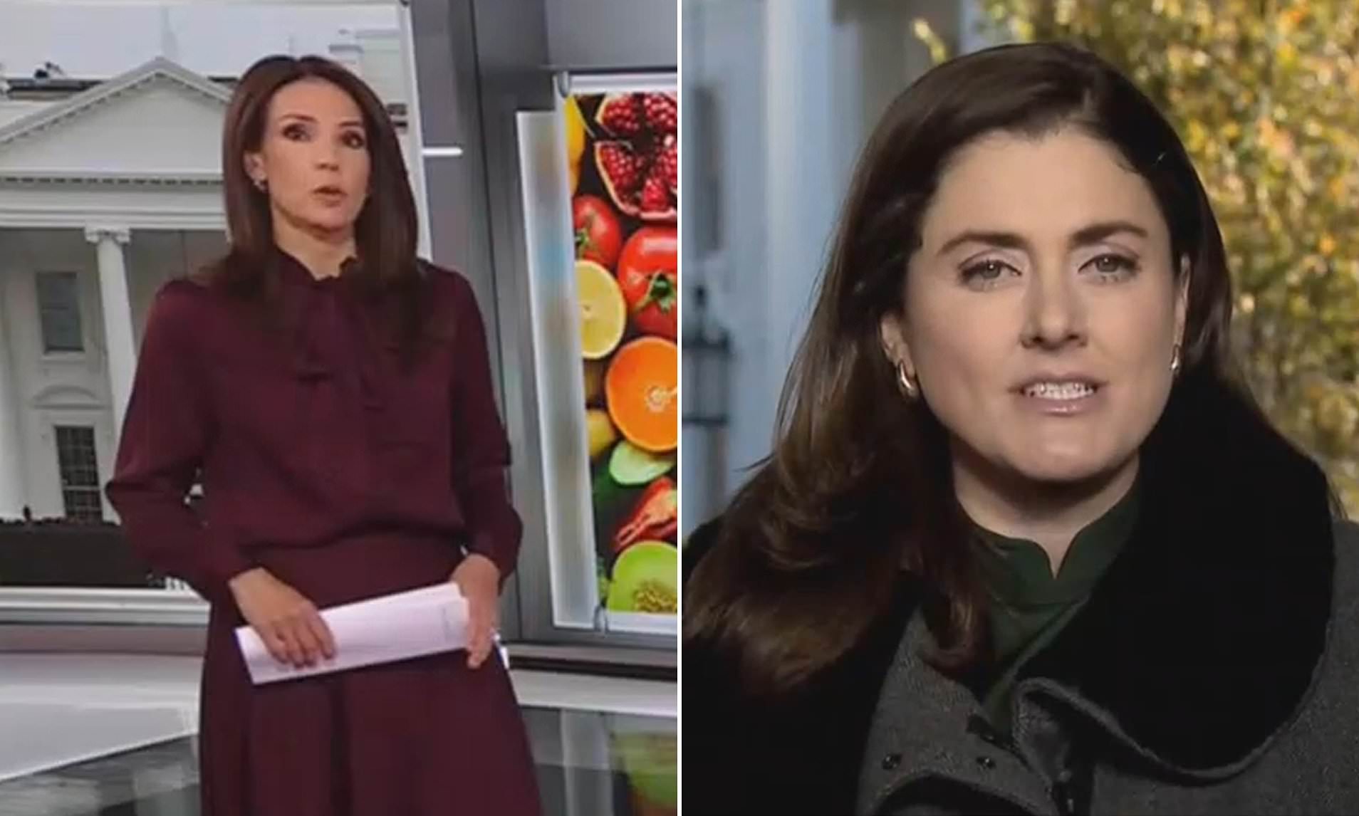 CNN reporter grows irate after White House worker blasts noisy leaf ...