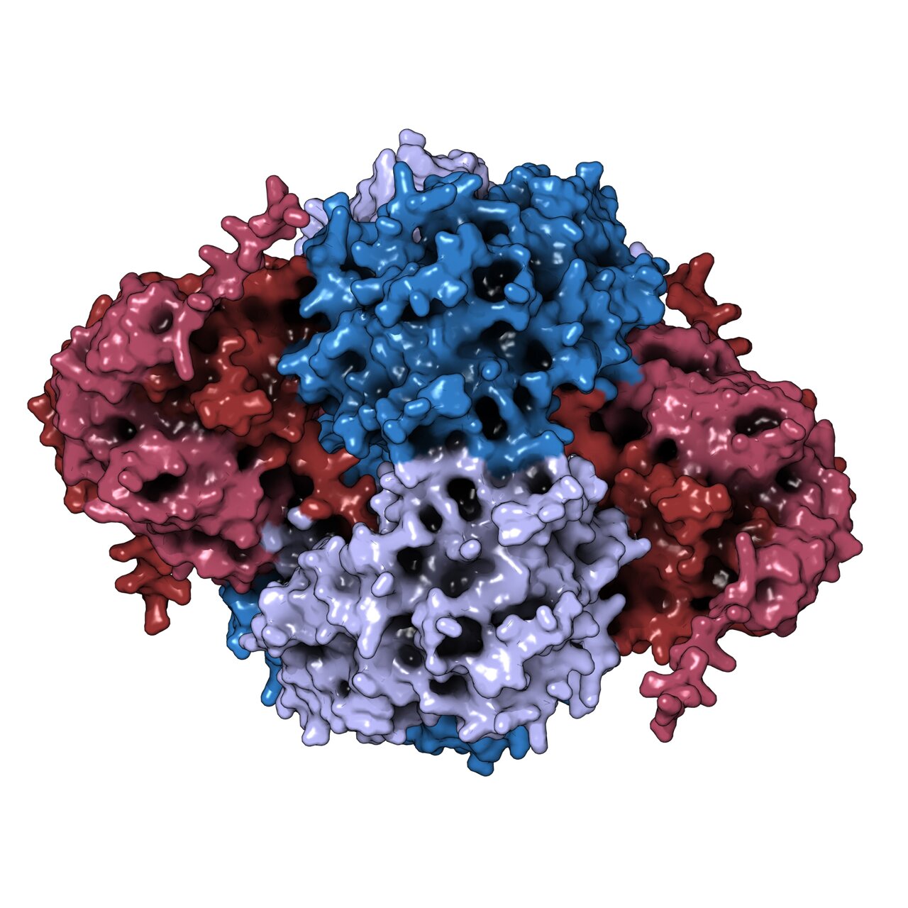 The enzyme that doesn't act like one: NUDT5 controls DNA building block ...
