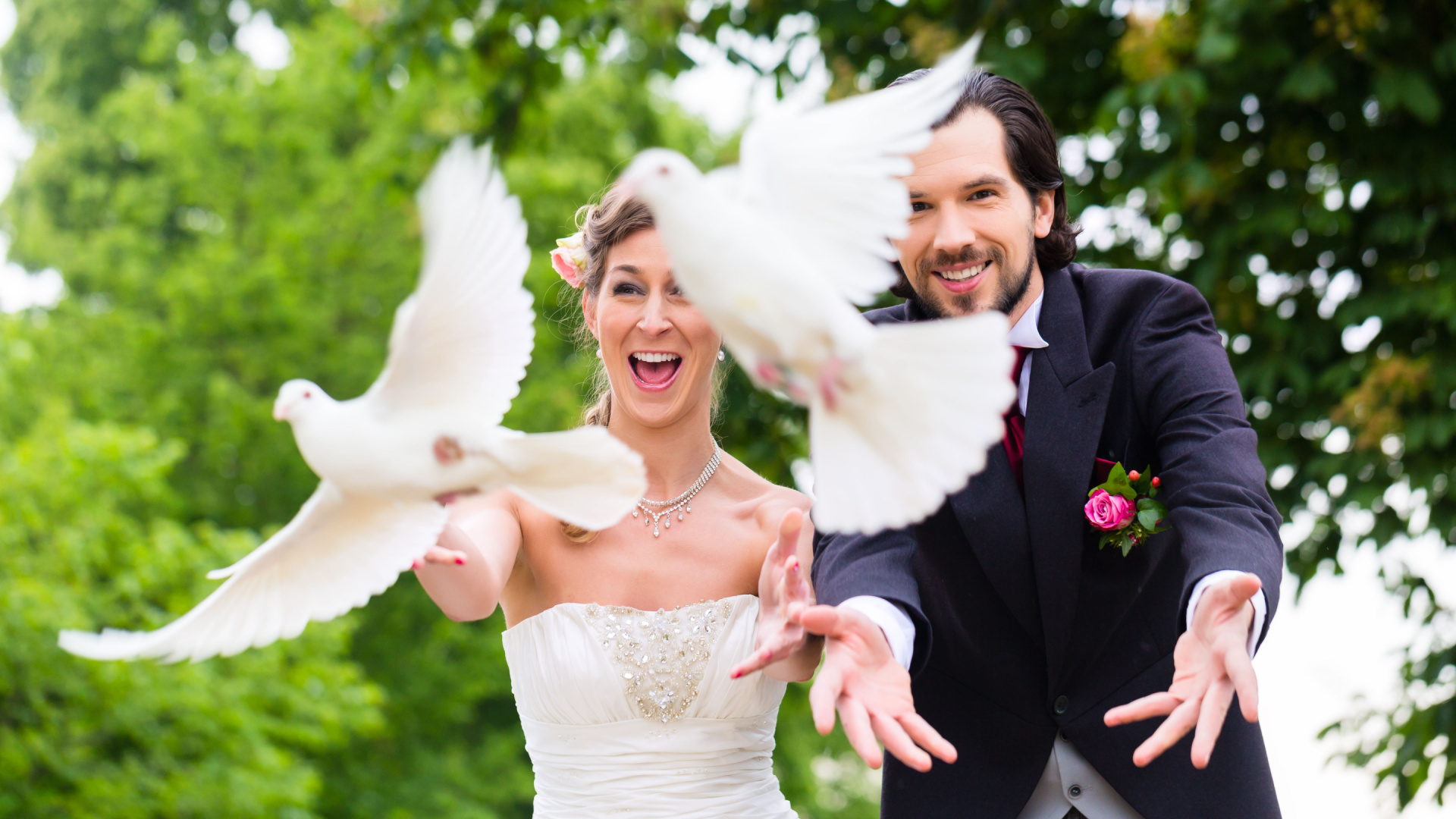 What Can Happen To Wedding Doves After They Fly Away?