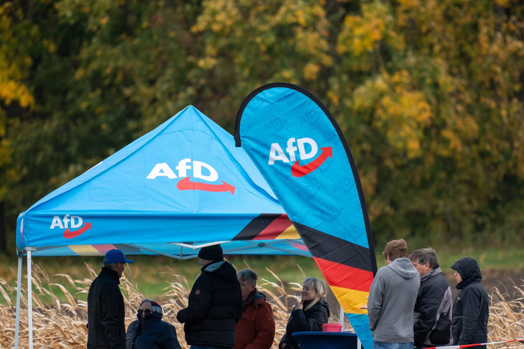 „Lohnender Termin“: Deutsche AfD-Politiker reisen nach Russland