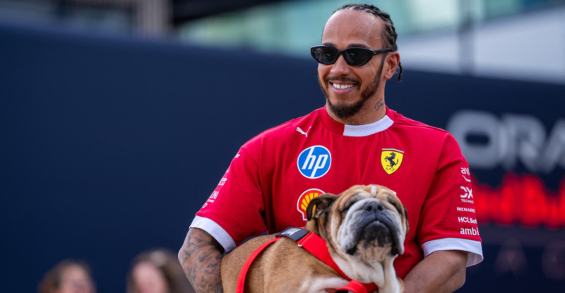 the-most-tragic-celebrity-pet-deaths