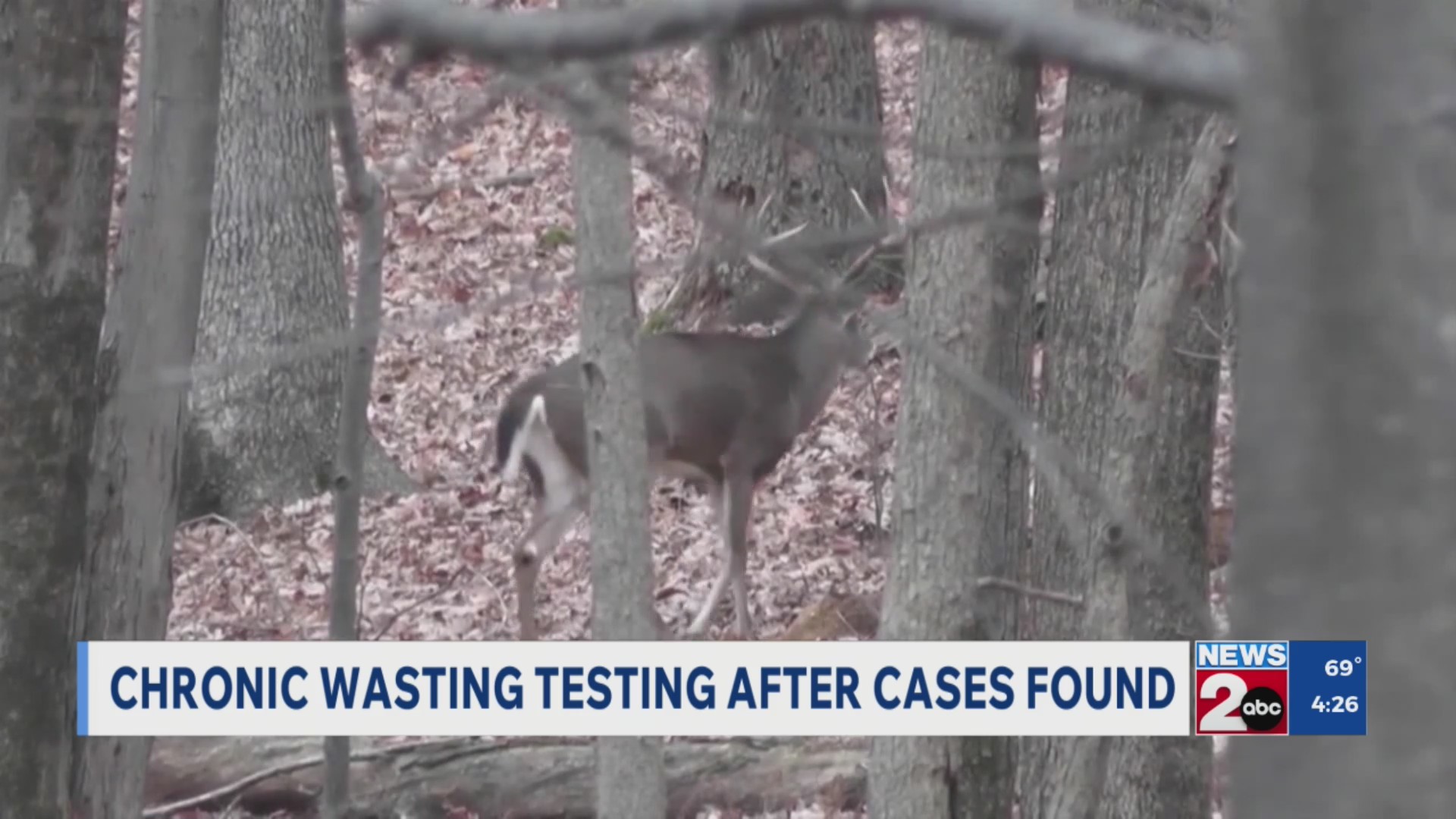 TWRA testing for chronic wasting disease after cases found