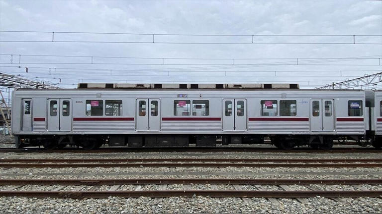 東武9000型｢ステンレス車体に茶色の帯｣の元祖