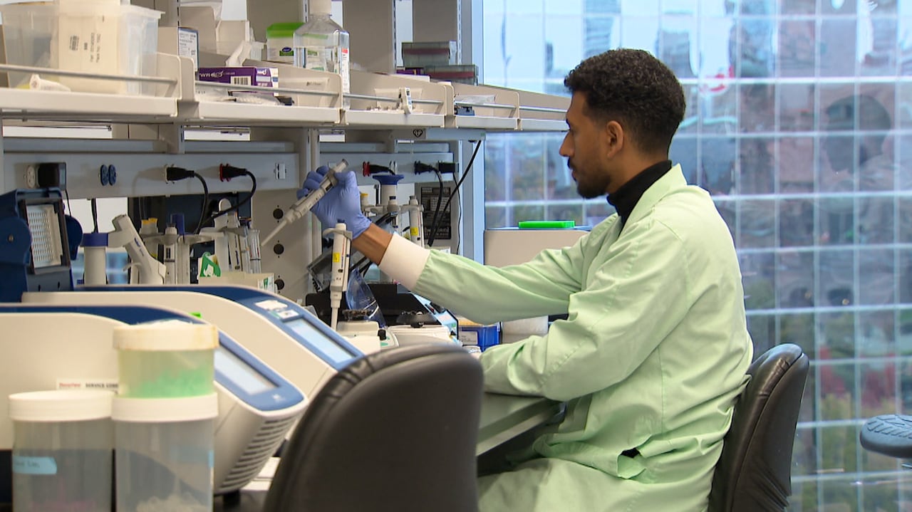Genetic screening project checking 100,000 people for hereditary cancer ...