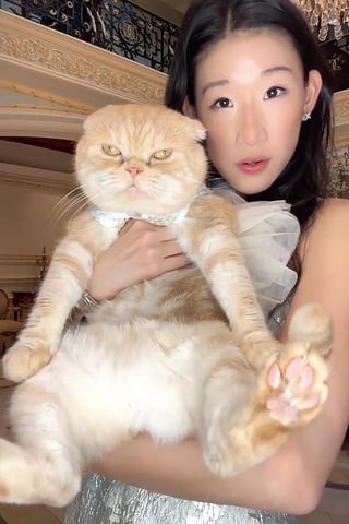 RichTok Influencer Becca Bloom Matches with Cat to Get Him Baptized