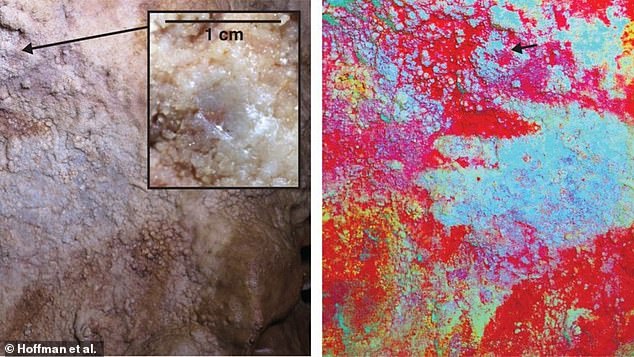 Discovery of 64,000-year-old cave art forces scientists to rethink ...