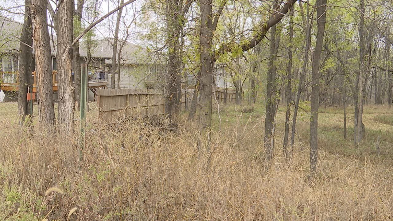 Disappointing duplexes: City developer, neighbors at odds