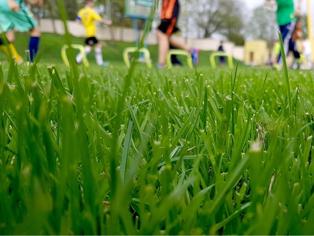 Cranford Introduces New Plan For Recreational Areas