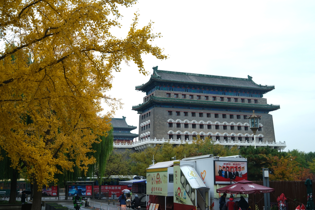 京城街头秋意浓