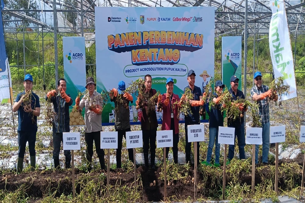 Sembalun Jadi Pusat Industri Kentang