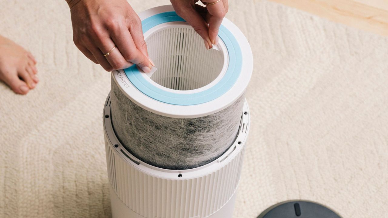 Can you clean and reuse your air purifier filter? I asked the experts