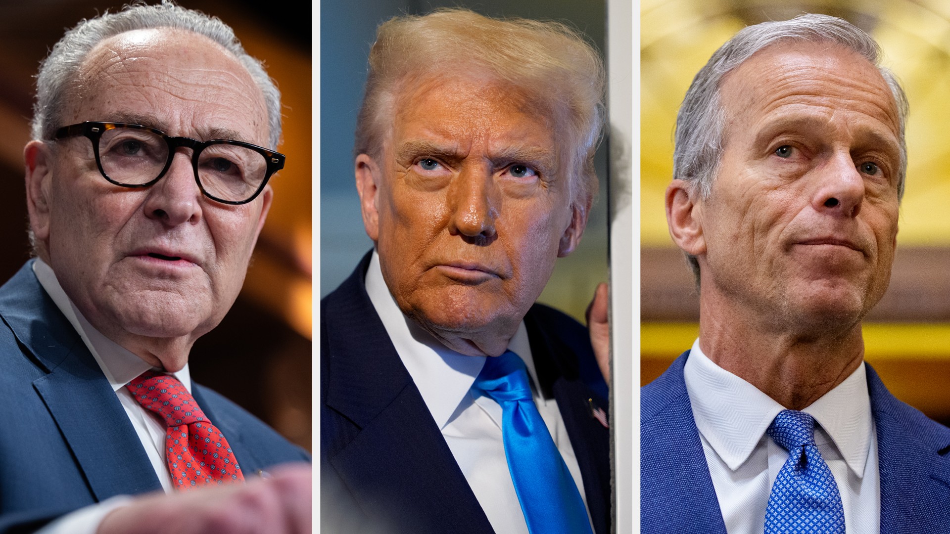 Democrats' unified on shutdown strategy