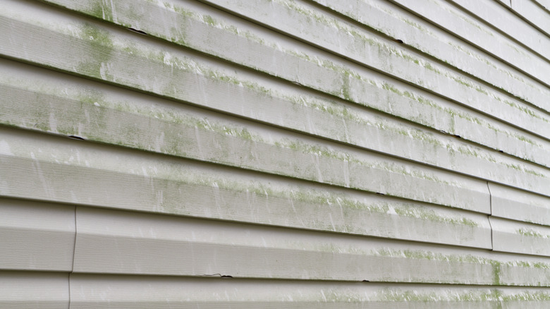 The Easy Trick To Cleaning Siding Without A Pressure Washer