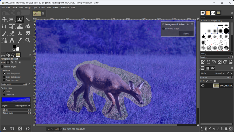GNU Image Manipulation Program (GIMP)