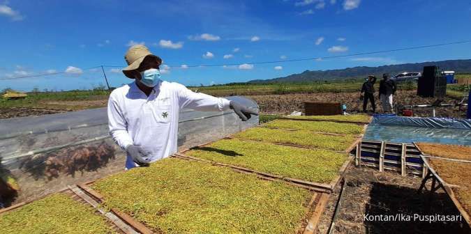 Studi Kompas Litbang: Industri Tembakau Dongkrak Ekonomi RI