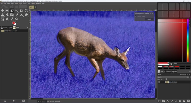 GNU Image Manipulation Program (GIMP)