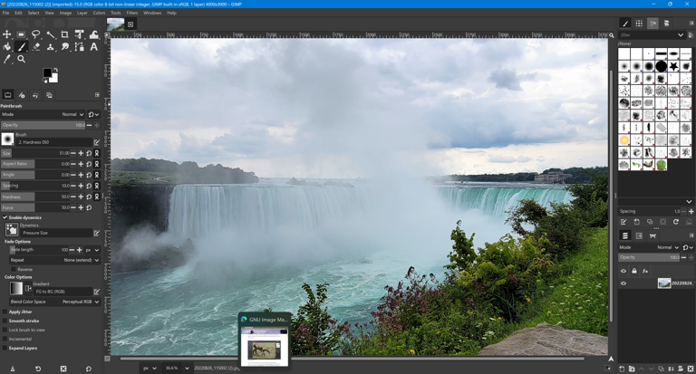 GNU Image Manipulation Program (GIMP)