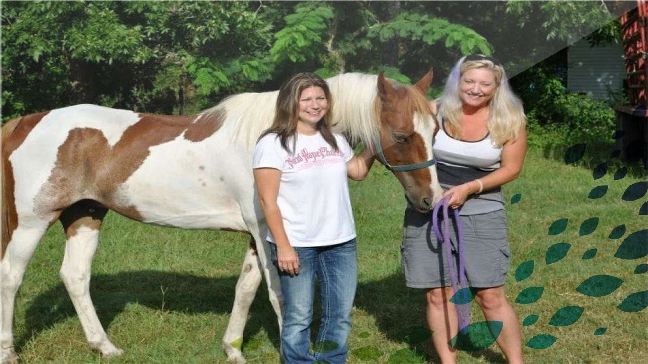 Family’s Horse Missing for 10 Years—Then a Suspicious Craigslist Ad