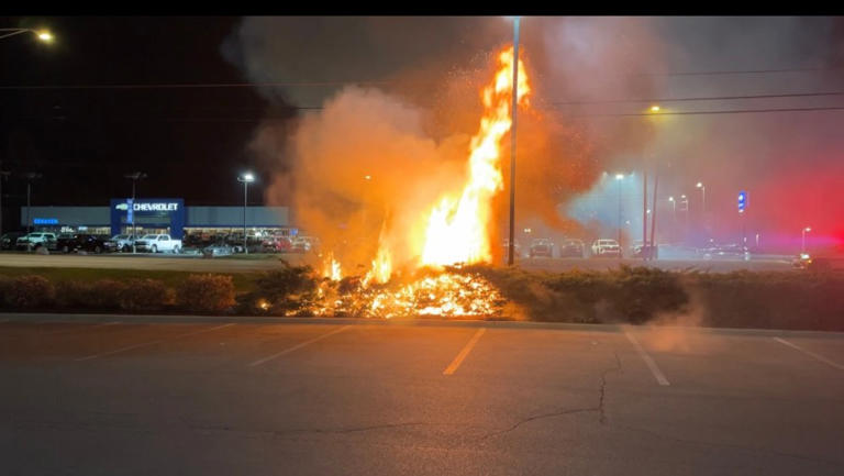 FWFD responds to bush fire at Shoppes of Illinois Road