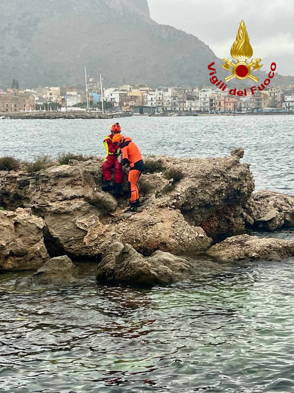 Sferracavallo, un cane abbandonato bloccato sugli scogli: lo salvano i ...