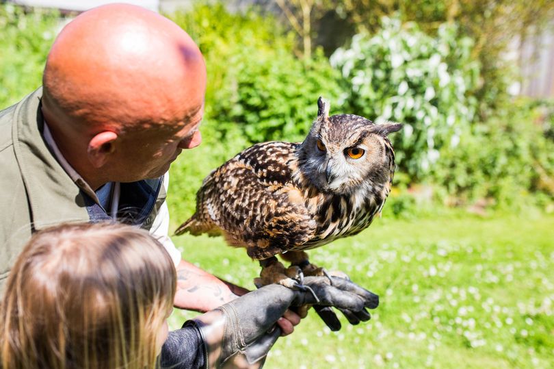 Feadon Farm the Cornwall animal attraction at Portreath closes for good