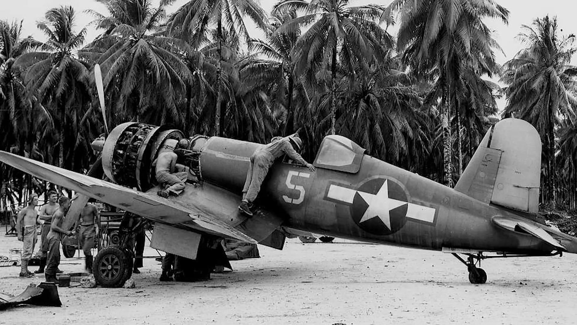 The Deadliest Squadron the US Navy Never Wanted Yet Needed