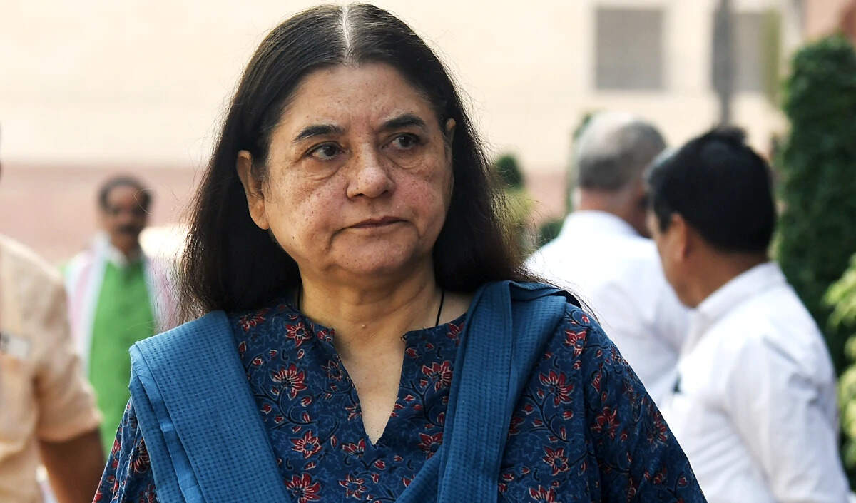 Supreme Court's Directive on Stray Dogs Sparks Controversy Among ...