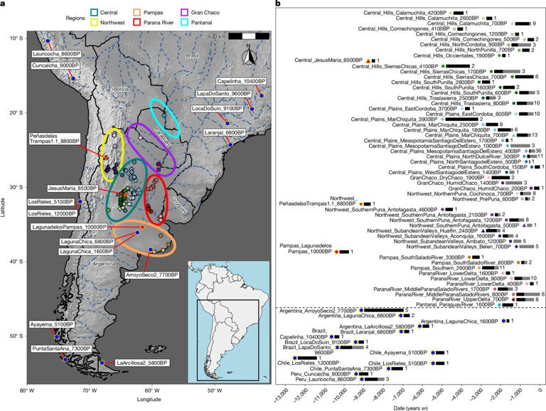 Ancient DNA uncovers unknown Argentina lineage that has persisted for ...