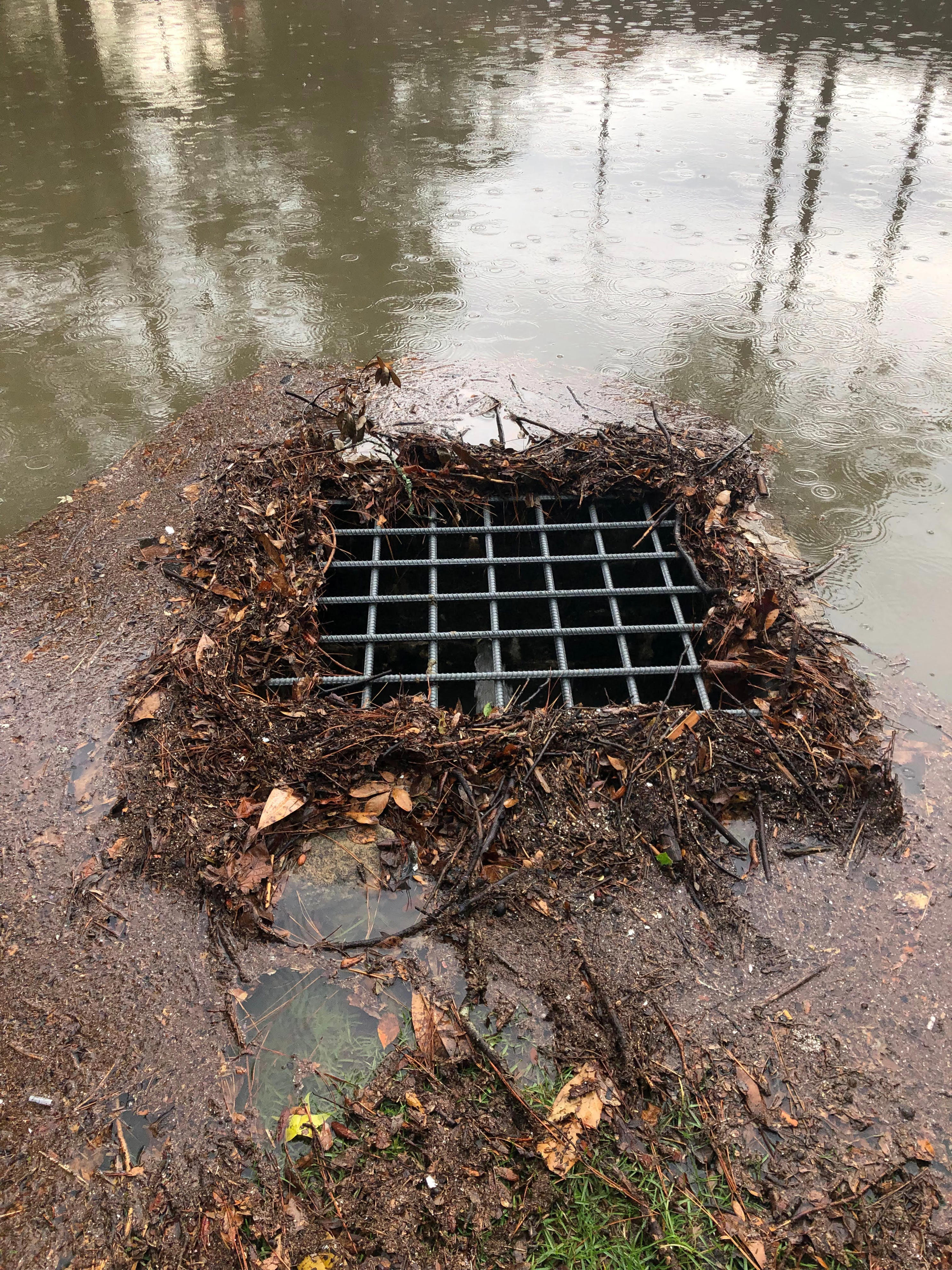 You don't have to be an engineer to help with stormwater runoff. Here's ...
