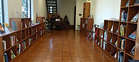 A bookstore with the world on its shelves